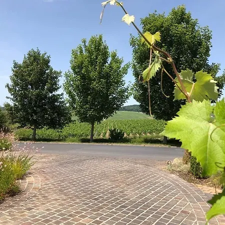 Restaurant Les Grains D'argent - Epernay 3*