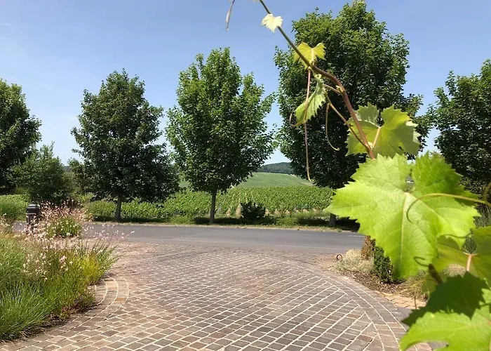 Restaurant Les Grains D'argent - Epernay 3*